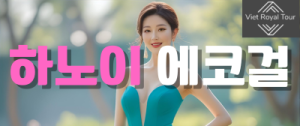 하노이 에코걸 프로필 가격 예약 방법 알아보자