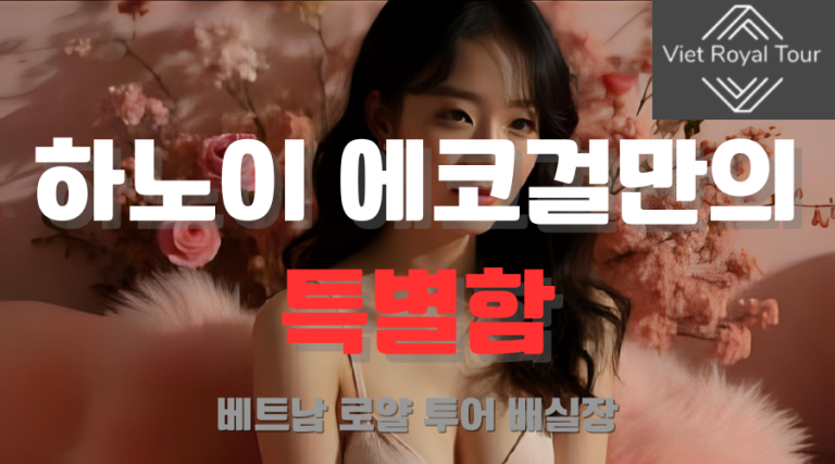 하노이 에코걸 프로필 가격 예약 방법 알아보자