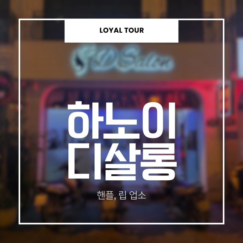하노이 디살롱
