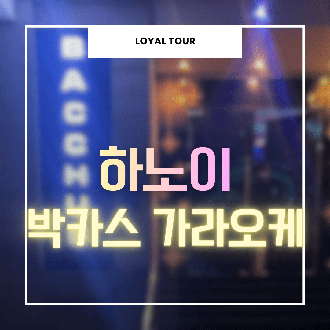 하노이 박카스 가라오케 미딩 1등 KTV 가격·예약 방법